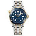 Seamaster Diver 300