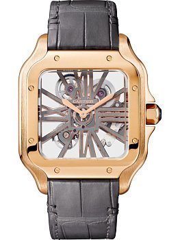 Cartier Santos De Cartier Skeleton WHSA0018